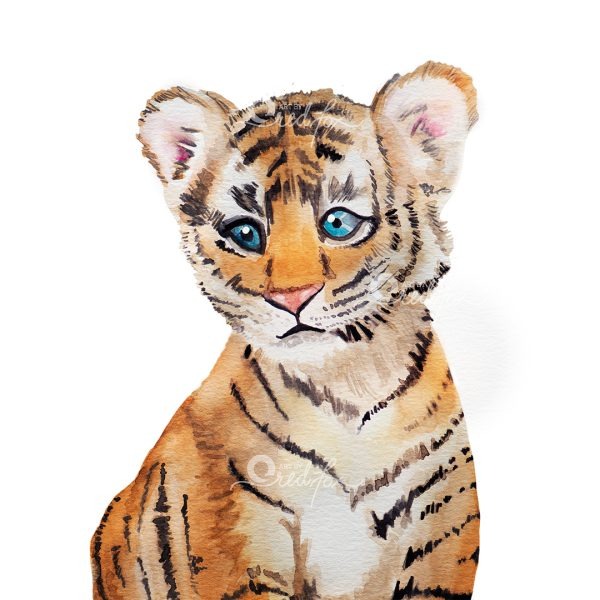 Sweet Safari - Tiger Product Preview
