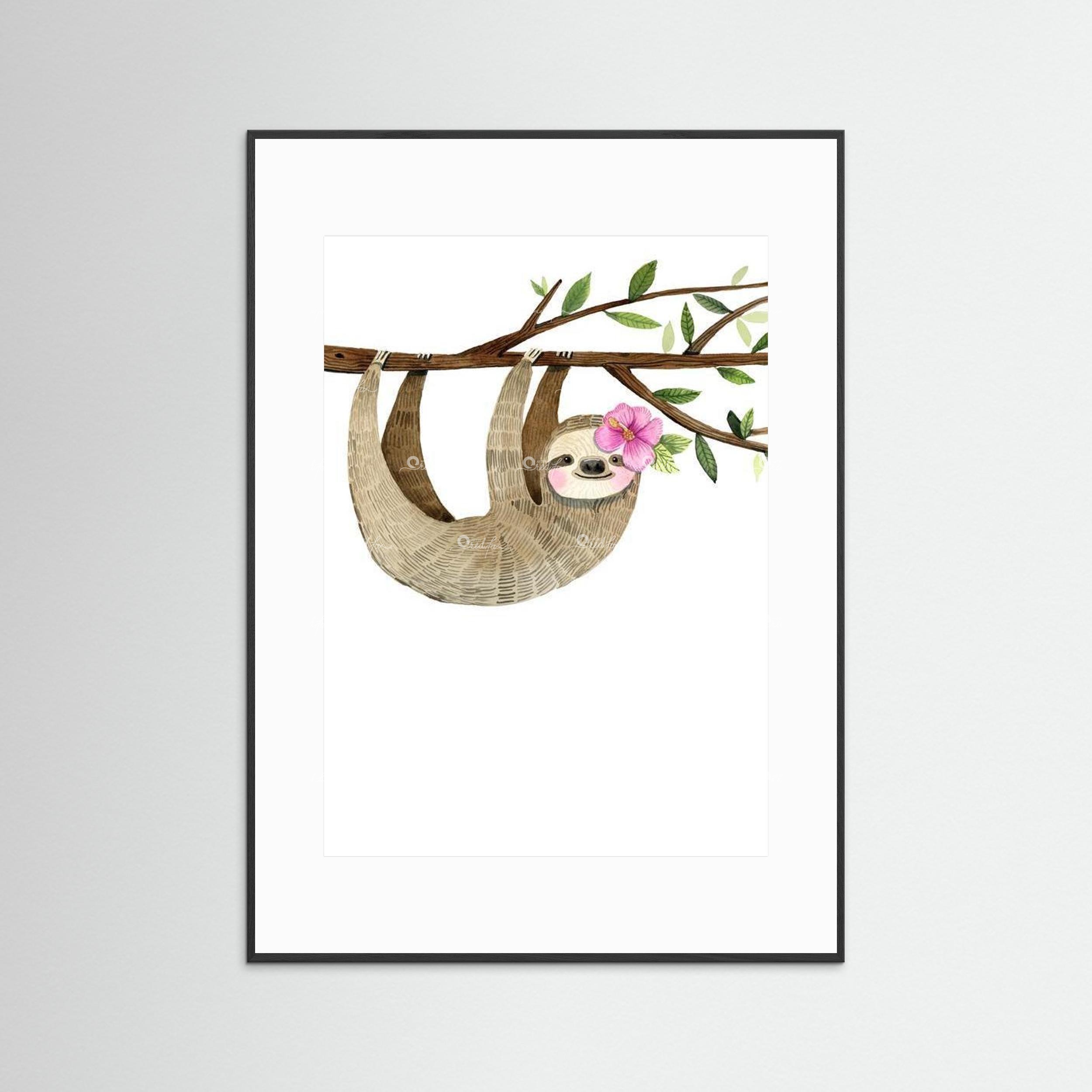 Sweet Sloth - Portrait