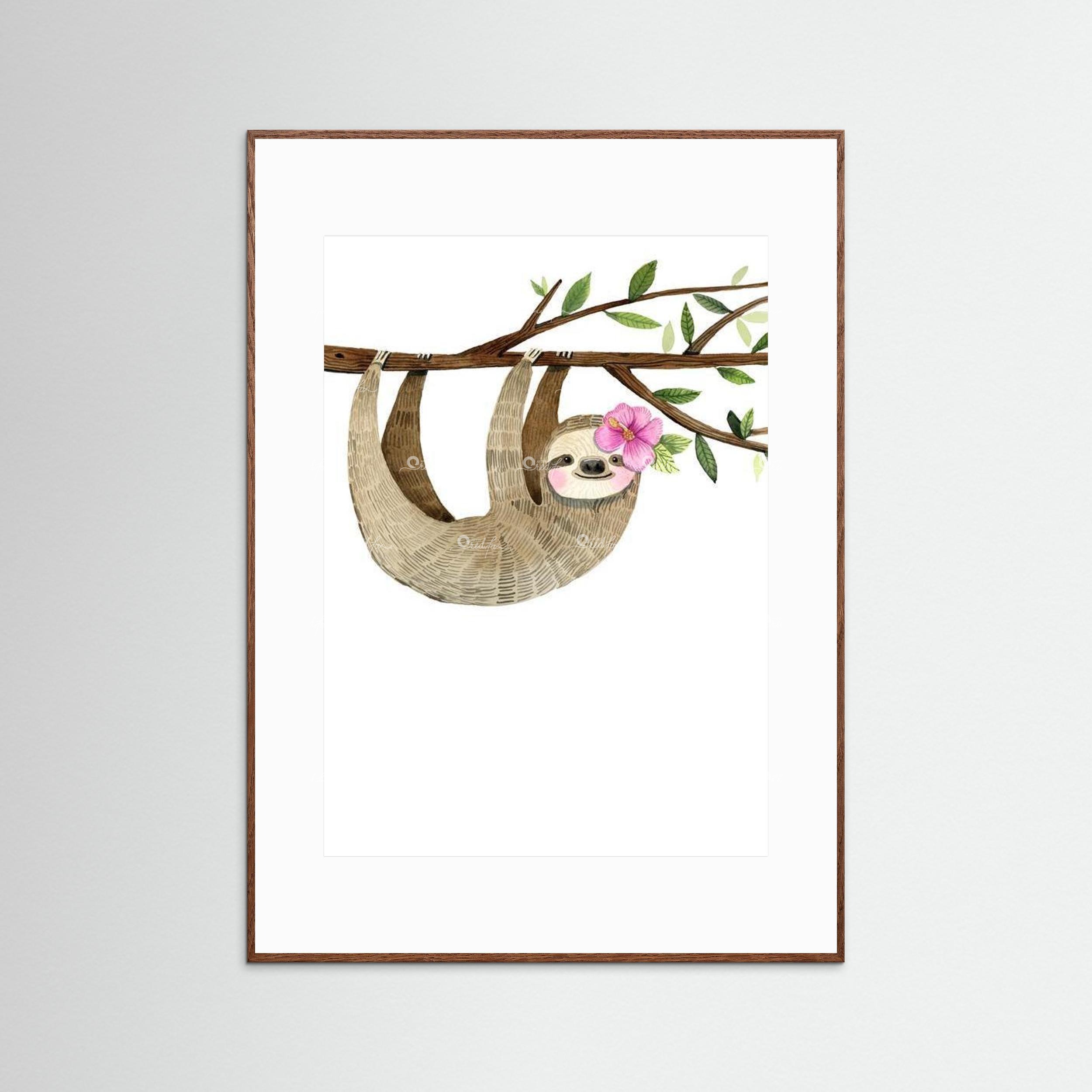 Sweet Sloth - Portrait