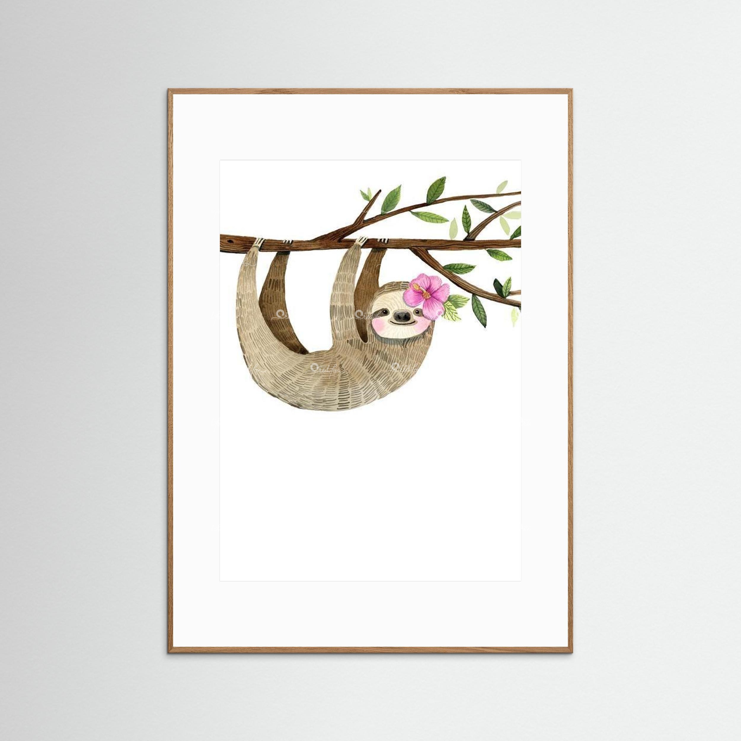 Sweet Sloth - Portrait